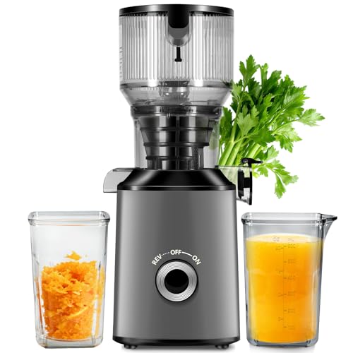 Cold Press Juicer with Wide Chute