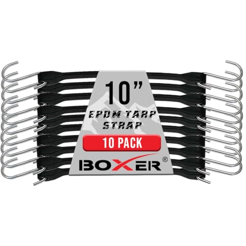 Boxer 10
