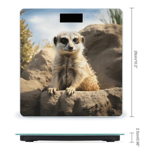 Báscula digital de baño Meerkat miniatura 2