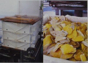 朝ごはん本舗 かんころ餅