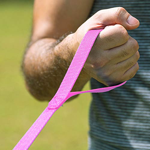 Hi Kiss Dog/Puppy Obedience Recall Training Agility Lead - 15Ft 20Ft 30Ft 50Ft 100Ft Training Leash - Great For Training, Play, Camping, Or Backyard - Pink 50Ft #TOP1
