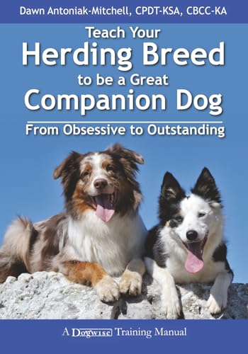 Teach Your Herding Breed to Be a Great Companion...