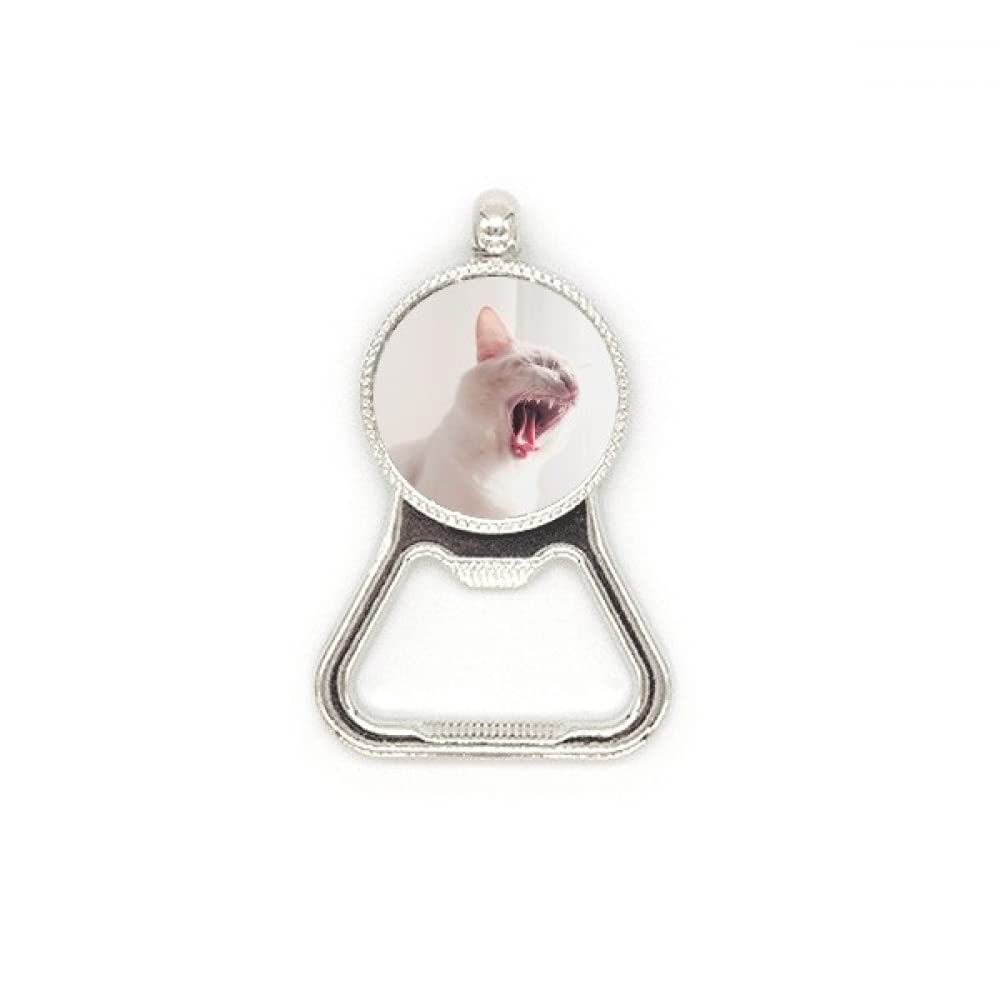 Décapsuleur en acier inoxydable motif chat blanc cadeau original anniversaire