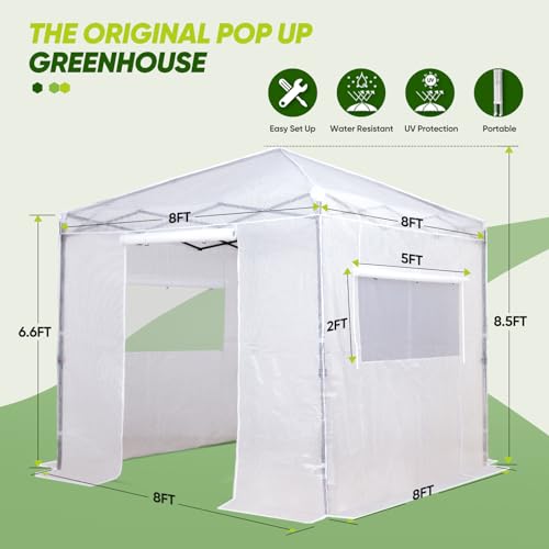 Image of EAGLE PEAK 8x8 Easy Setup Pop Up Greenhouse, Clear /White