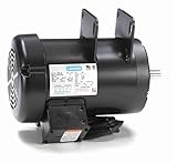 2 hp 3450 RPM Delta Unisaw Electric Motor 115/230V Leeson Electric Motor 120997