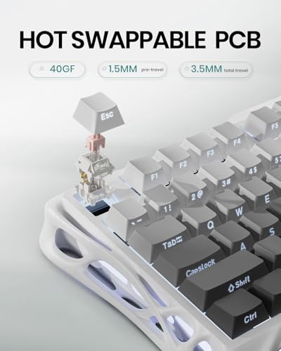 GravaStar Computerrandapparatuur, Mercury, K1, 75% draadloos mechanisch gamingtoetsenbord, aluminiumlegering, exoskeleton-design, gasketen, aangepast toetsenbord, hot-swap-sokkel, lineaire schakelaar, - Afbeelding 6