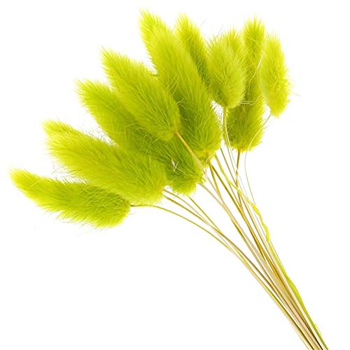 AdorabFruit 20 Piezas Flores Secas Naturales Flores Artificiales Blancas Coloridas Cola De Conejo Falsa Hierba Cola De Zorra Ramo Largos Racimos (Color : C) Cover