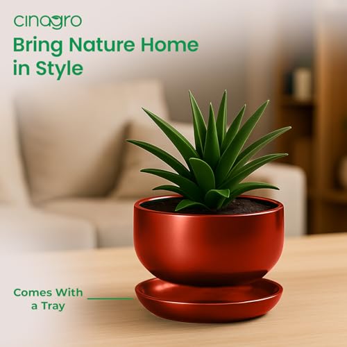 Image of CINAGRO Metal Planter Pot for Indoor Plants, Round Decorative Flower Pot, Rust-Resistant, Modern Plant Holder for Home, Balcony, Office (13.97 x 7.62 cm, Pulse Nest - Mahogany)