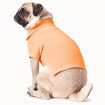 犬服 ラルフローレン パーカー RALPH LAUREN（ラルフローレン）ビッグポニーフリースフーディー