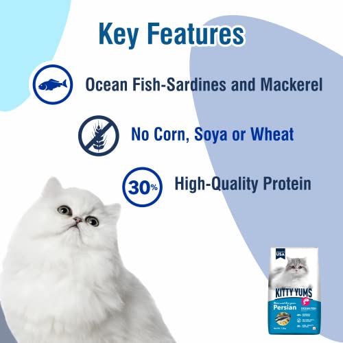 Image of Kitty Yums Adult Persian Dry Cat Food 1.2kg Pack | Ocean Fish Flavour | Develop Strong Bones | Strong Immune System | Strong Vision Development Support Digestive Health