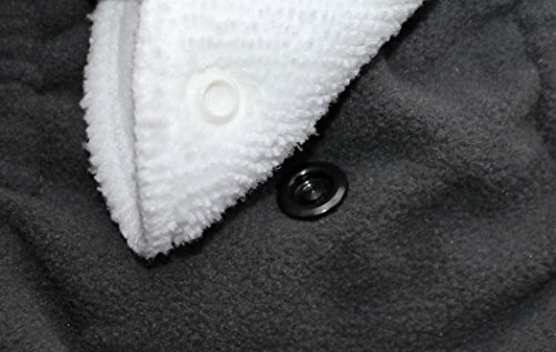 Glenndarcy Hundewindeln - OHNE SCHWANZLOCH - für z.B FRENCHIES und Bulldoggen - Frenchies Medium Long & 2 Washable Pads