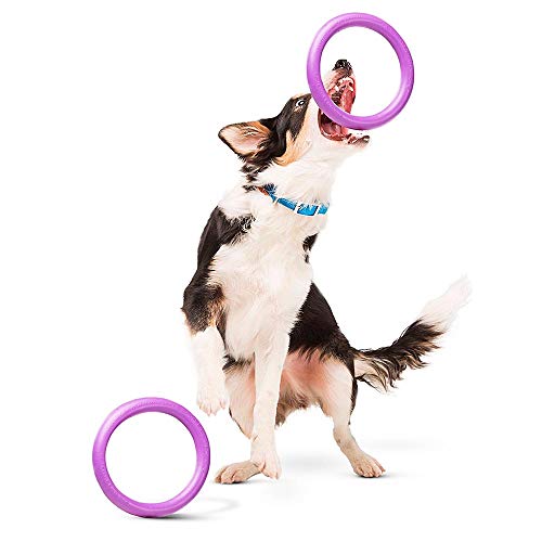 Ferplast Hunde Spielzeug, Hundetraining Ring zum Kauen, zum Laufen, Springen, Schießen, Ungiftig, Schwimmend, Puller MIDI, Hundespielzeug für kleine und mittelgroße Hunde, Set mit 2 Fitness Ringen