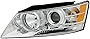 For Hyundai Sonata 09-10 Headlight Assembly Lh US Driver Side CAPA