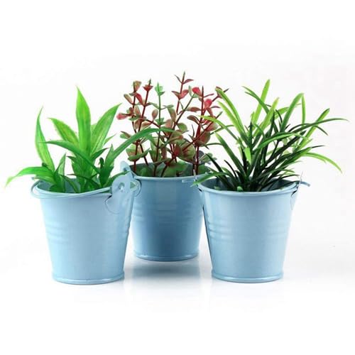Mini seaux métal jardinière pour fleurs : la solution pour vos décors de table - 7