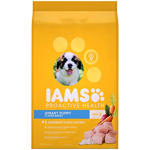 iams large breed senior