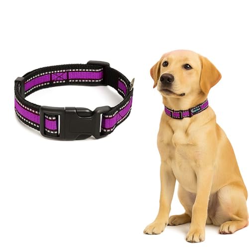 Image of Reflective Adjustable Pet Collar for Dogs and Cats - Durable Nylon Strap with Heavy-Duty Buckle | Comfortable and Safe for Walking and Training in Multiple Colors & Sizes (Purple, Small)