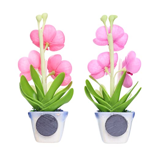 Imanes decorativos 3D flores orquídeas Vanda set 2 miniatura 2