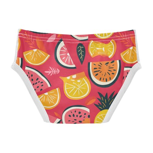 Wusikd Summer Watermelon Boys' Underwear Cotton Lemon Boys Briefs Soft Toddler Underwear 2T2