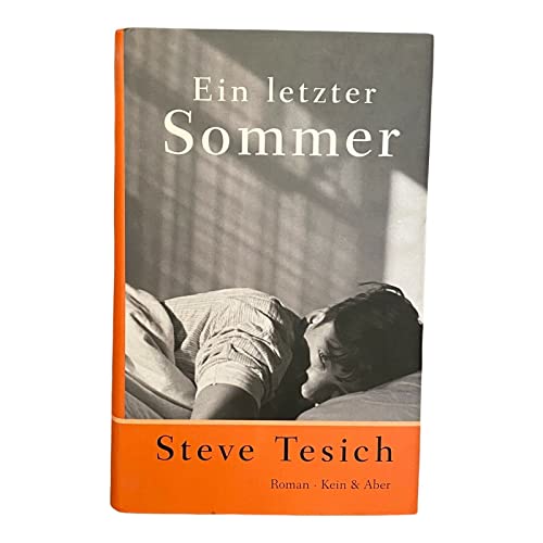 Ein letzter Sommer [German] 3036951377 Book Cover