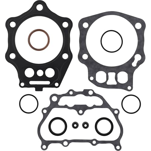 Joints Winderosa 810896 pour éliminer les fuites d'huile du haut moteur thermique