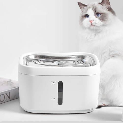 Dispensador de agua automático para gatos 2.5L acero miniatura 5