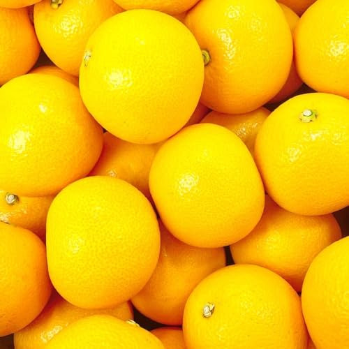 八朔 (はっさく) とにかく 小玉 箱込 5kg(内容量約 4.4g) 秀品 優品 混合 Sサイズ以下 和歌山県産 産地直送【おまけ付き】