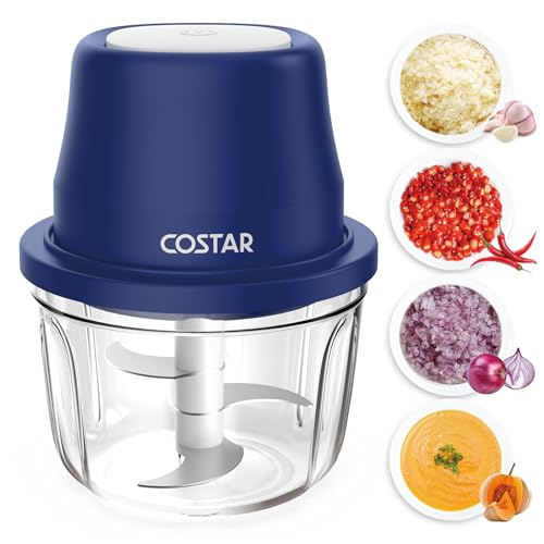 COSTAR 350Ml Rechargeable Mini Electric Chopper 304 Stainless Steel Blades Food Processor For Kitchen, German Design, One Touch Operation, 1 Year Warranty,...