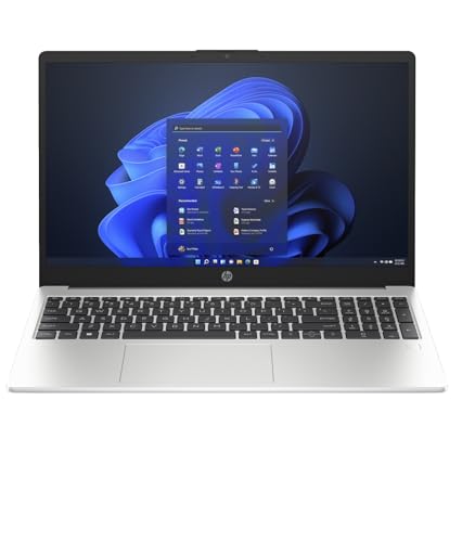 250 G10 (816G1EA) (silber, Windows 11 Pro 64-Bit, 512 GB