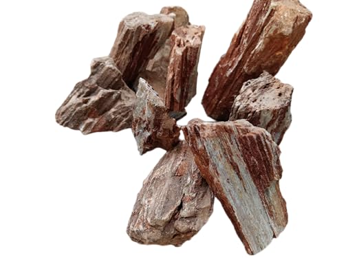 Image of Natural Redwood Petrified Stone for Aquarium Decor | Aquascaping Rock for Fish Tanks, Terrariums, and Bonsai | pH Neutral, Dense Hardscape Stone with Wood-Like Grain Patterns (1 Kg)