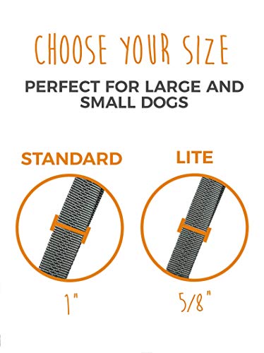 image for Mighty Paw Double Dog Leash, Two Dog Adjustable Length Dog Lead, Premi