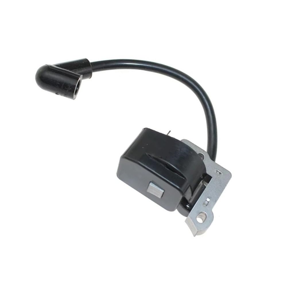 Module d'allumage électronique haute tension pour série RY30951