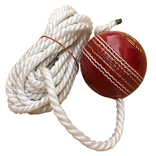 Amazon Best Sellers Best Cricket Balls
