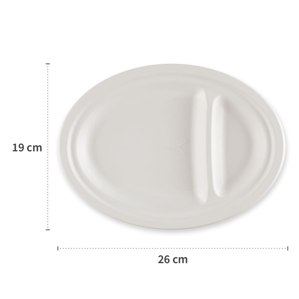 500 Stück NATUREStar Menüteller, 2-geteilt, oval | Zuckerrohr, weiß, L: 26cm, B: 19cm, H: 2cm, Karton, Zuckerrohrteller, Einmalteller, Bioteller, Partygeschirr, Einwegteller aus Zuckerrohr