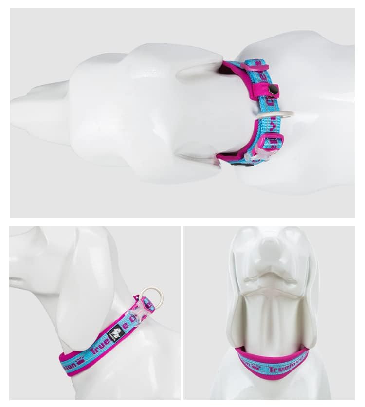 WINHYEPET True Love Reflective Dog Collar - Image 4