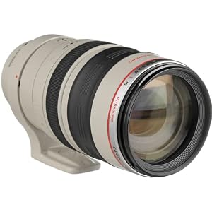 Canon EF 100-400mm f/4.5-5.6L IS USM Telephoto Zoom Lens for Canon SLR Cameras (Renewed) — photo 3 of 3