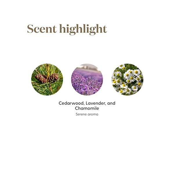 Young Living Tranquil Roll-On - 10 ml – Bild 6