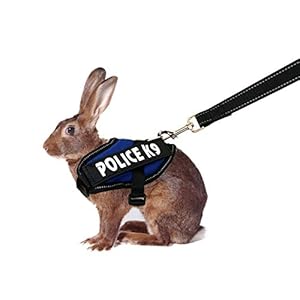 Vehomy Rabbit Harness with Leash for Bunny Rabbits Cats Small Animals (Blue)