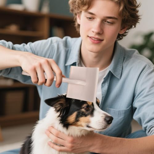 Brosse lisse pour les chiens et petits animaux de compagnie
