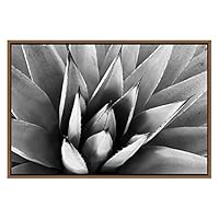 SIGNWIN Framed Canvas Wall Art Agave Plant Petal Botanical Succulent Photography Minimalism Contemporary Closeup Dramatic Black and White for Living Room, Bedroom, Office - 16