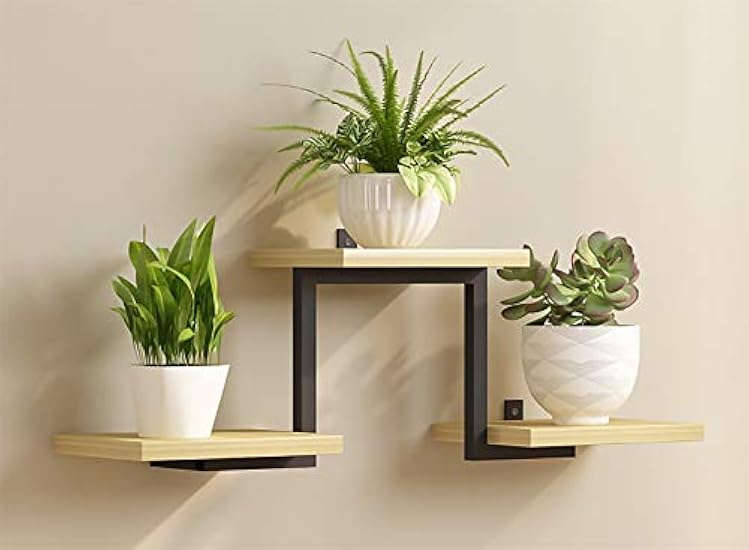 j-me カクタス ワインラック サボテン イギリス製