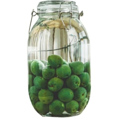 FiveLn ~ r KXт ʎт 2L/3L/4L/5L eʐHiۑe KX r e LjX^[ R[q[ t ۑe ʎ Â (3L,ی^) [sAi]