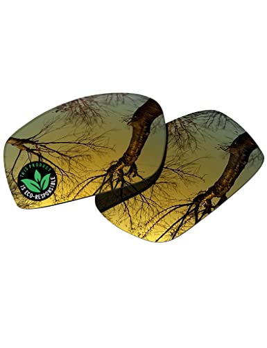 Image of Raydi Polycarbonate Replacement Lenses for Wiley X Valor Sunglass