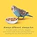 Kaytee Fiesta Parakeet Food, Nutritious and Fun Blend, Supports Skin, Feather, Digestion, Brain and Heart Health, 2 pounds