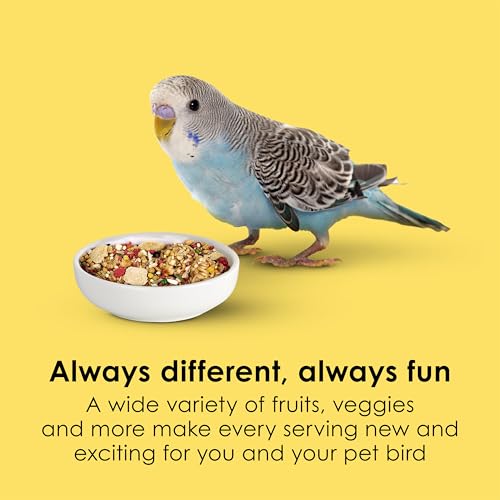 Kaytee Fiesta Parakeet Food, Nutritious and Fun Blend, Supports Skin, Feather, Digestion, Brain and Heart Health, 2 pounds - Image 4