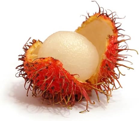 Rambutan X6 - Exotic fruit - Fresh from Thailand