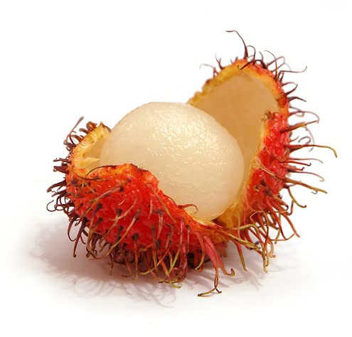 Rambutan X6 - Exotic fruit - Fresh from Thailand