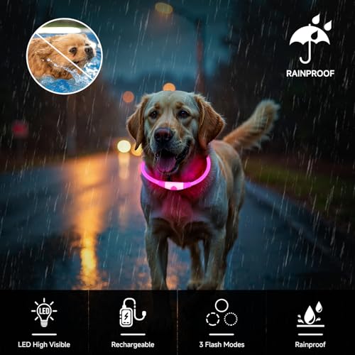 Leuchthalsband Hund Aufladbar, LED Hundehalsband Leuchtend wasserdicht mit 3 Lichtmodi in der Nacht Sicherheit für Kleine, Mittlere und Große Hunde Leuchthalsband, Rosa 70cm