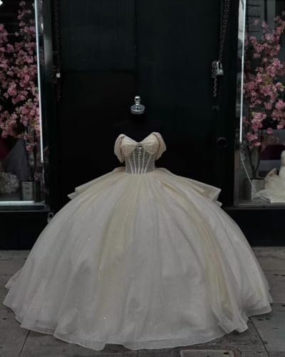 Puffy Tulle Quinceanera Dresses 2025 Sparkly Beaded Sweetheart Quince Dresses with Train TM1584