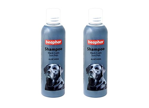 See full amazon price history chart for Pawsitively Pet Care Beaphar Aloe Vera Dog Shampoo for Black Coats, 250 ml (Pack of 2) Pawsitively Pet Care Beaphar Aloe Vera Dog Shampoo for Black Coats, 250 ml (Pack of 2) (B078S7FHZD) Amazon Price History, Amazon Price Tracker