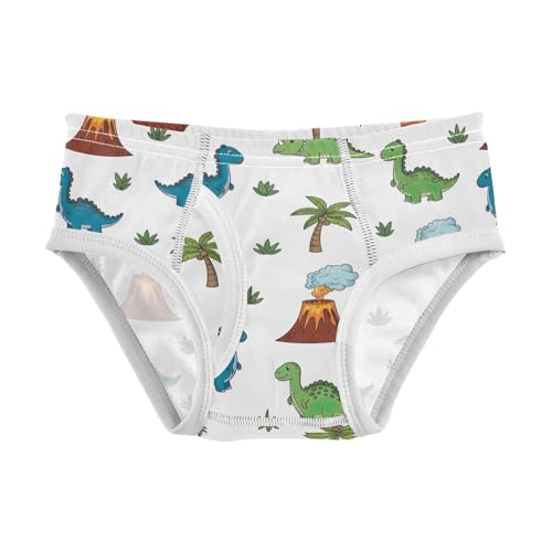 CHIFIGNO Boys' Underwear Colorful Cute Dinosaurs White Kids Boys Briefs Breathable Cotton Brief Underwear